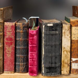 Maxi-pack ressources permaculture